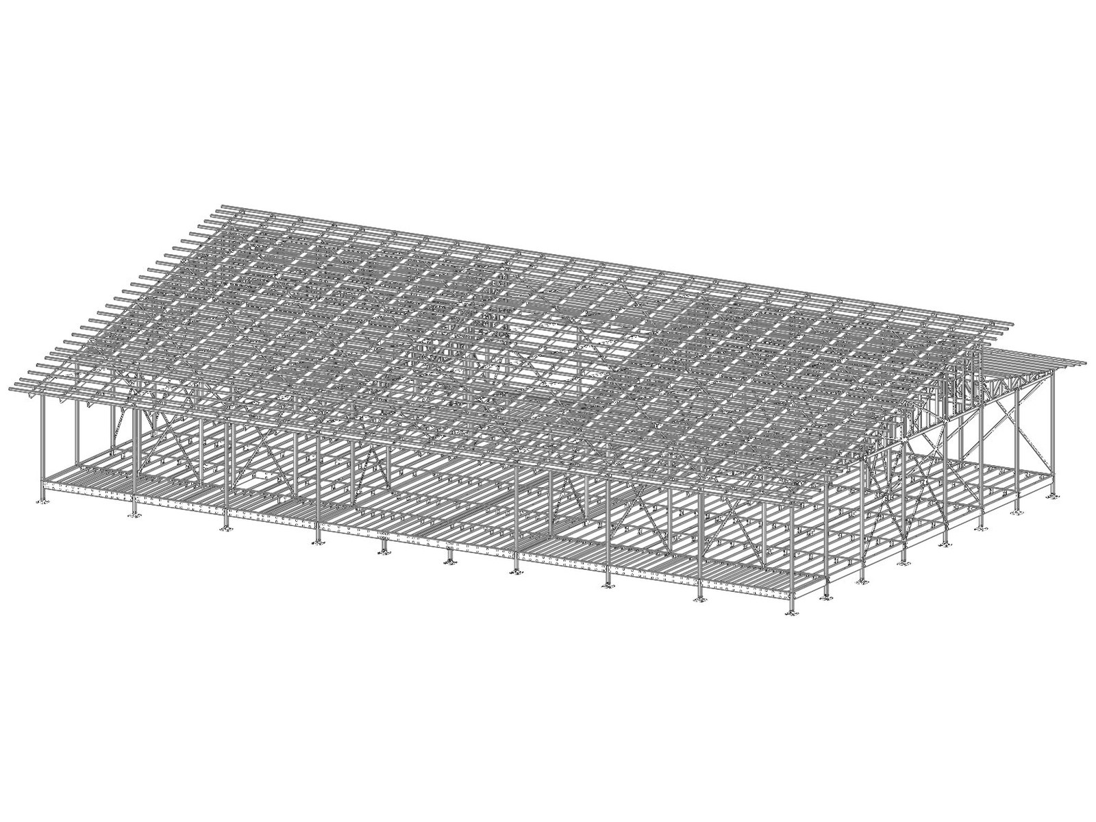 Long span steel roof structure modelled in 3D